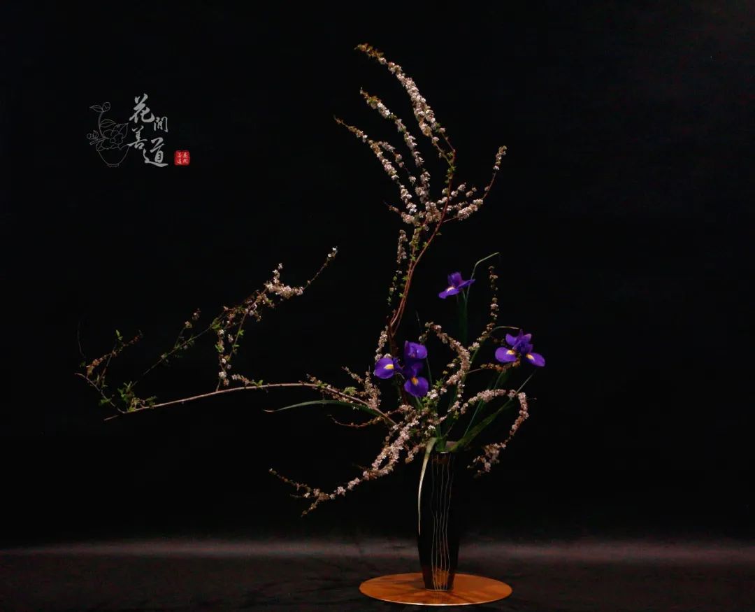茶席上，听花开的声音