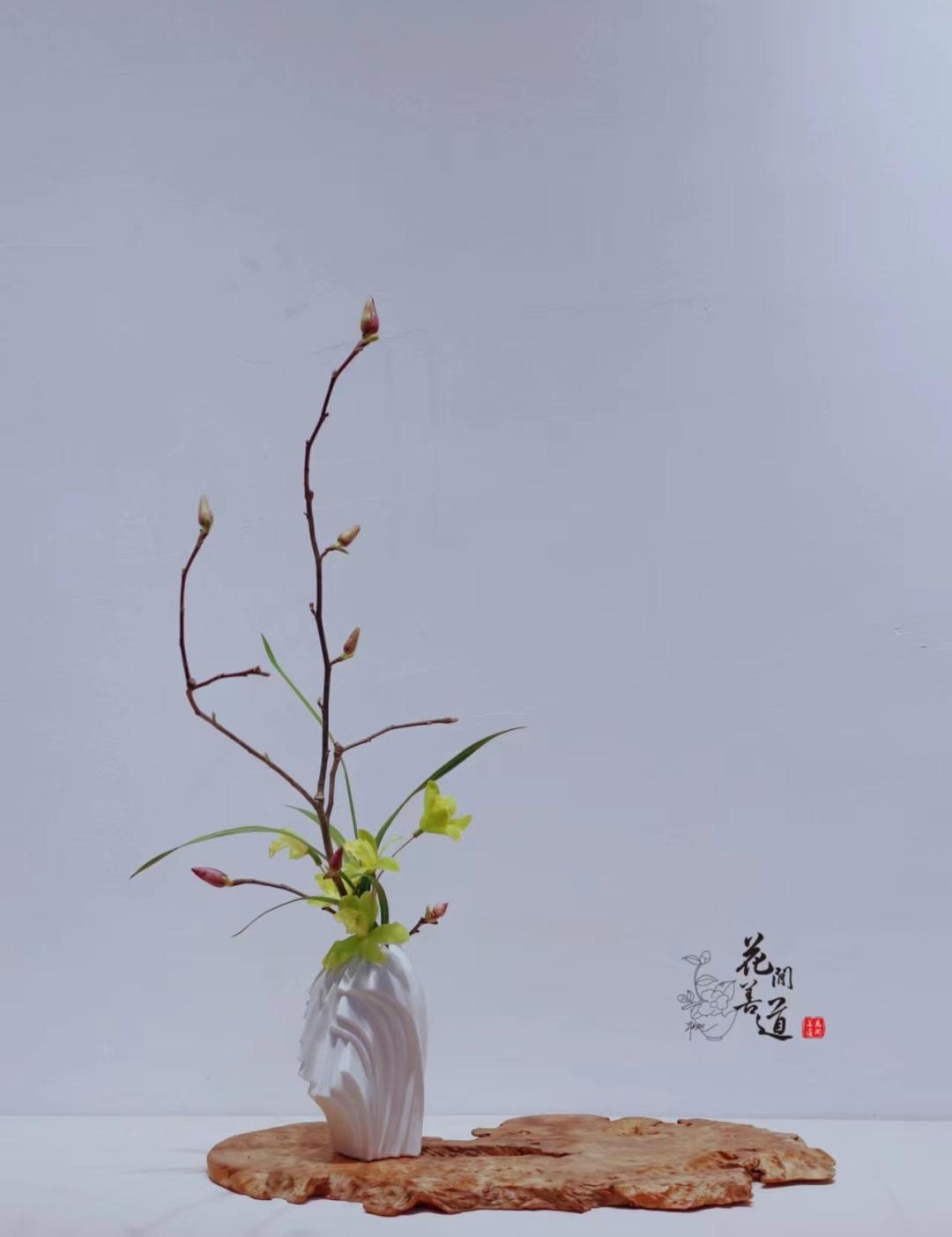 茶席上，听花开的声音