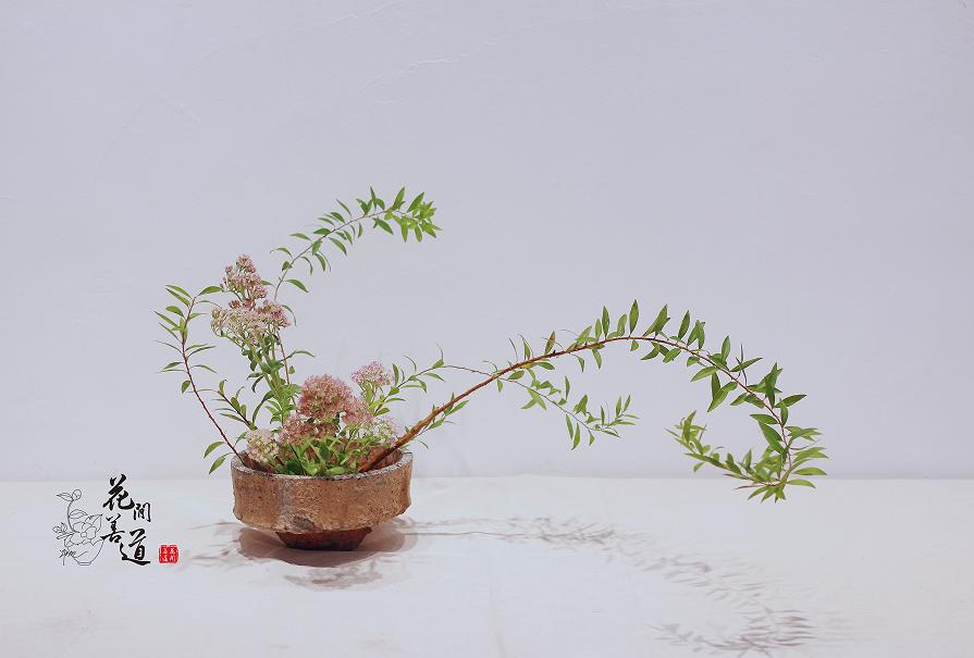 茶席上，听花开的声音