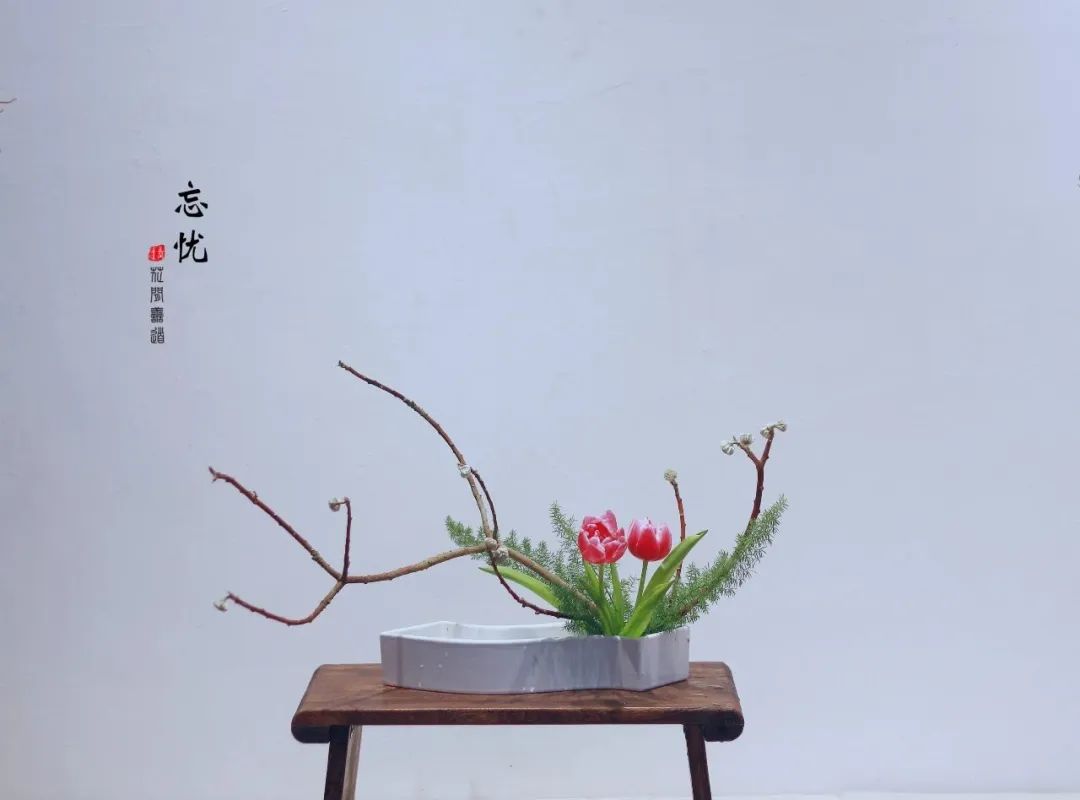 茶席上，听花开的声音