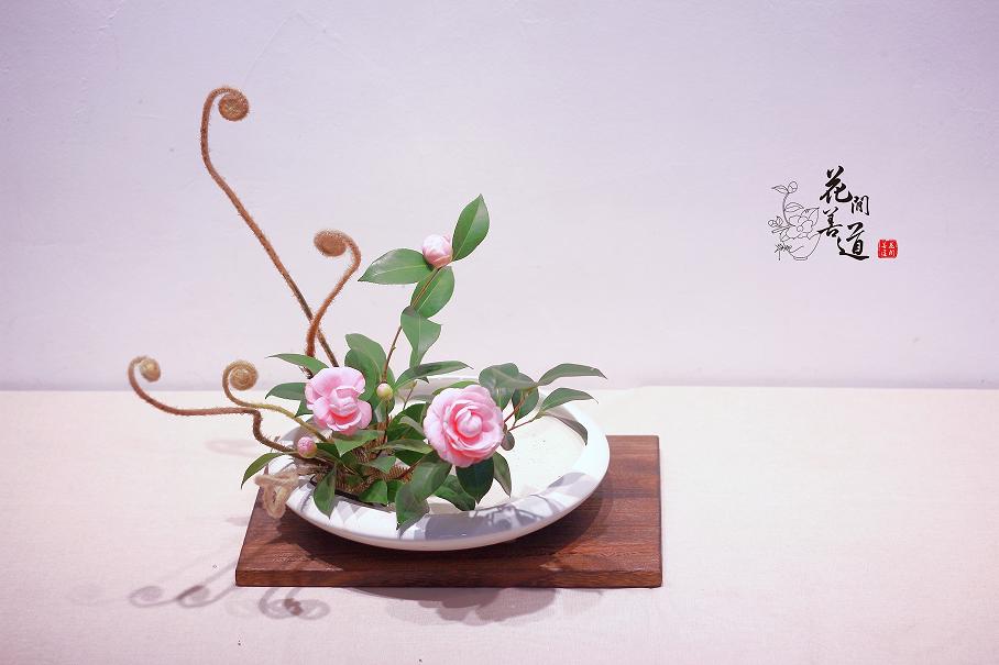 茶席上，听花开的声音