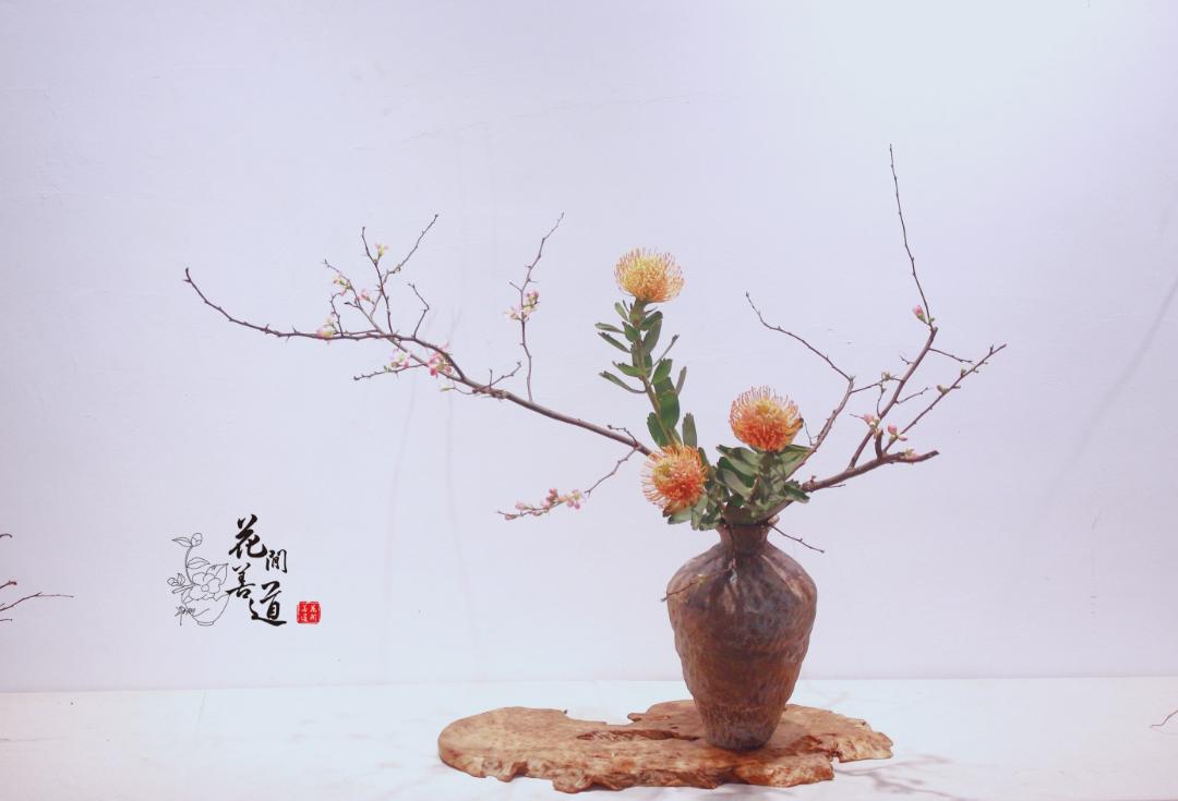 茶席上，听花开的声音