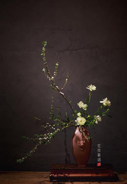 茶席上，听花开的声音