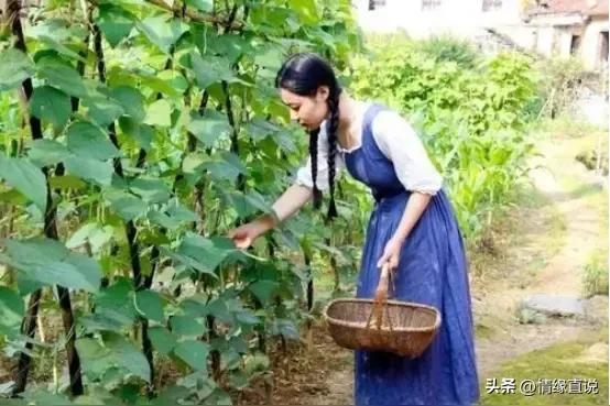 昨夜：又梦到阳春广播电台播报我的新闻报道，好甜蜜