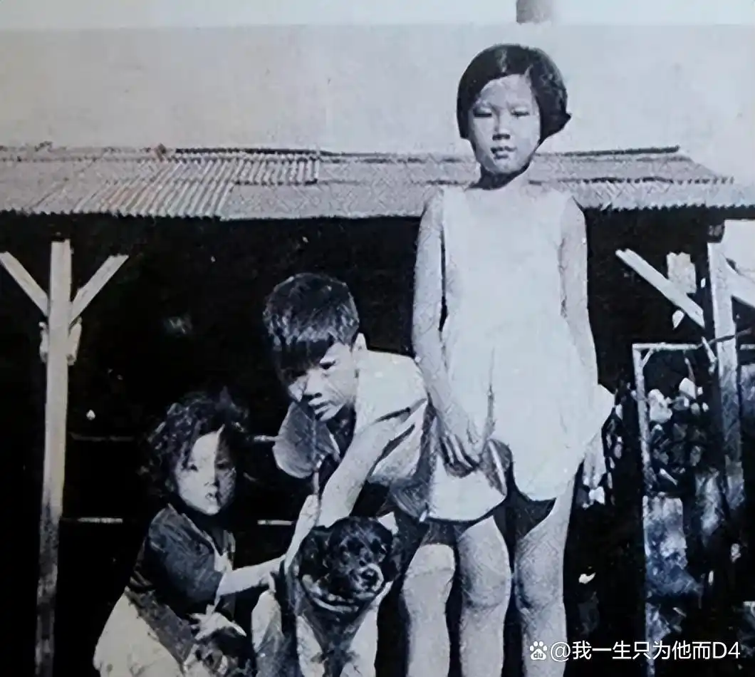 69岁仍未婚的蔡英文还有人要吗？翻翻她的情史，让人跌破眼镜！