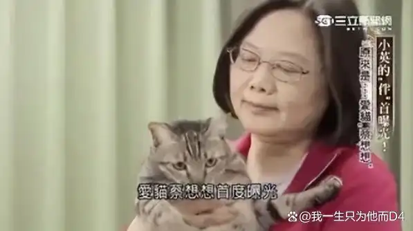 69岁仍未婚的蔡英文还有人要吗？翻翻她的情史，让人跌破眼镜！