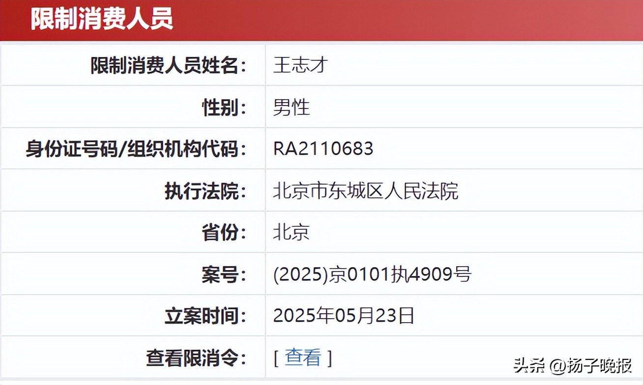 “晴格格”王艳的富豪丈夫，被限制高消费