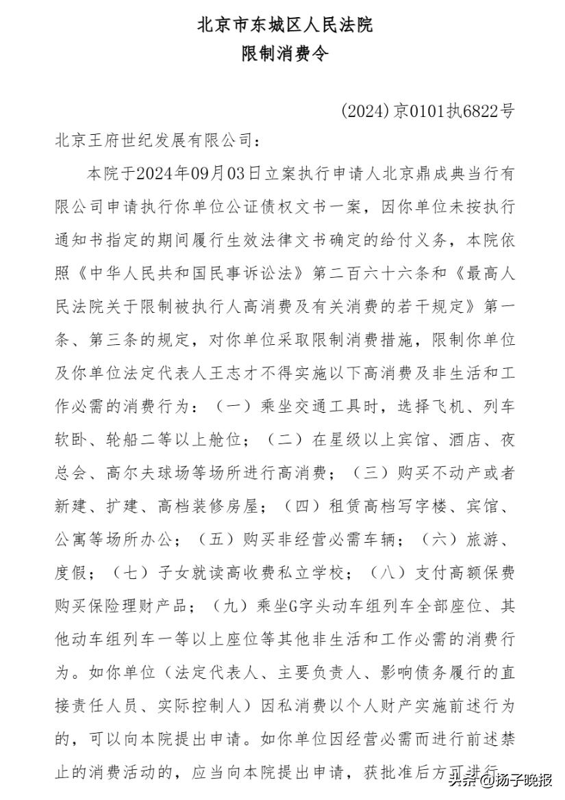 “晴格格”王艳的富豪丈夫，被限制高消费