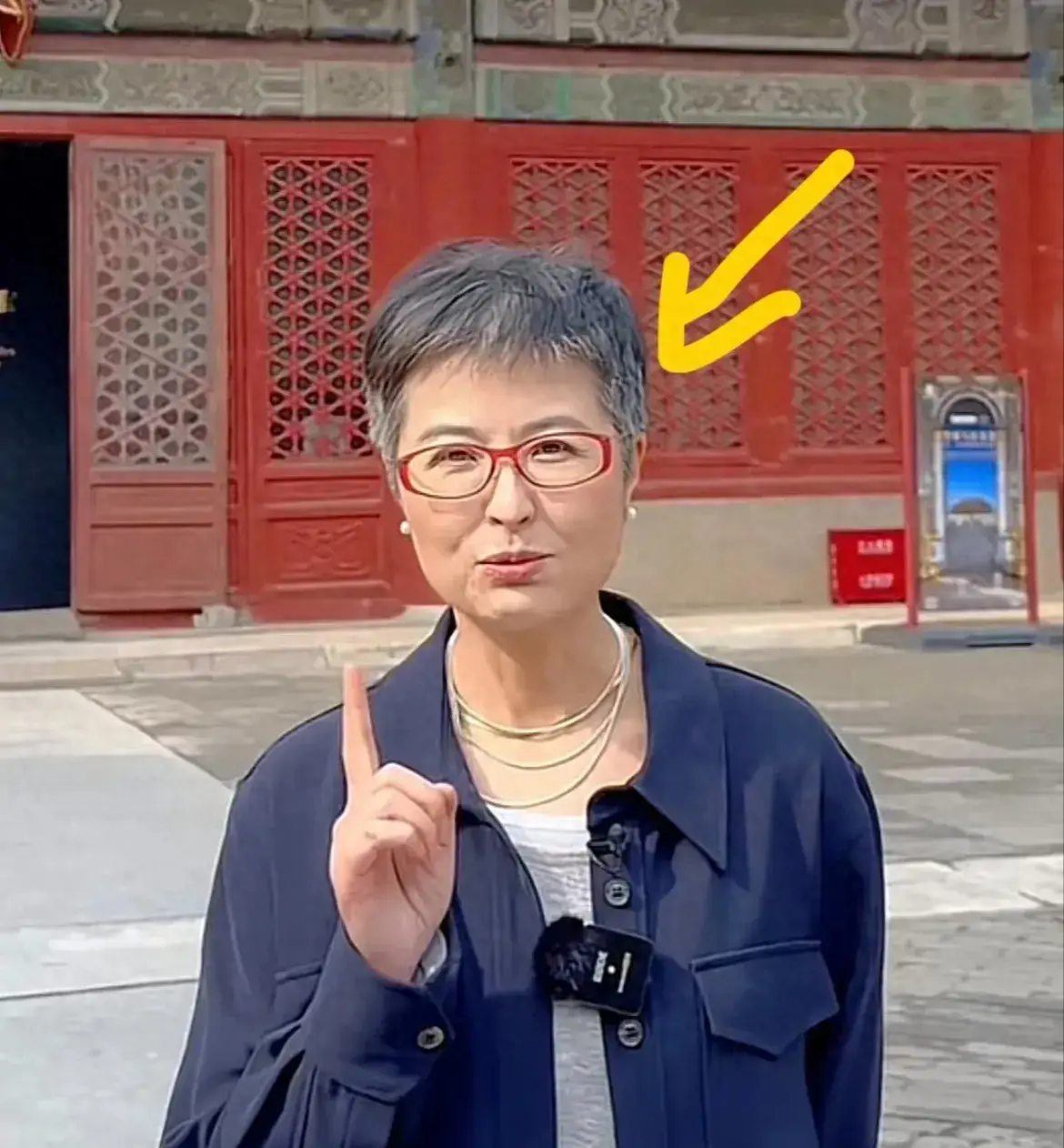 张泉灵：曾是央视知名主持人，辞职后创业，如今满头白发断崖衰老