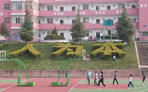 小学校园新闻稿