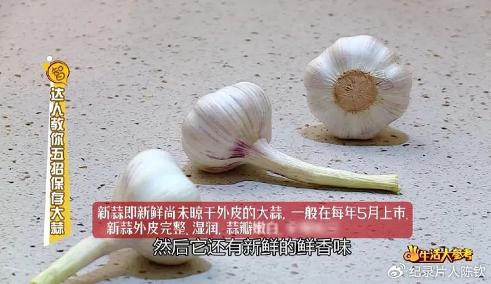 《生活大参考》您的贴心生活顾问