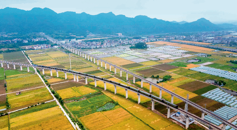 瞭望·治国理政纪事｜“千万工程”塑造美丽乡村