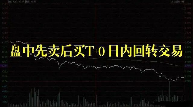 我是如何从20万本金炒到980万，只因长达15年坚持“半仓一只股，正反不断T”，成本直接做到负值