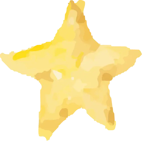 假期特供 | 数据库校外访问指南