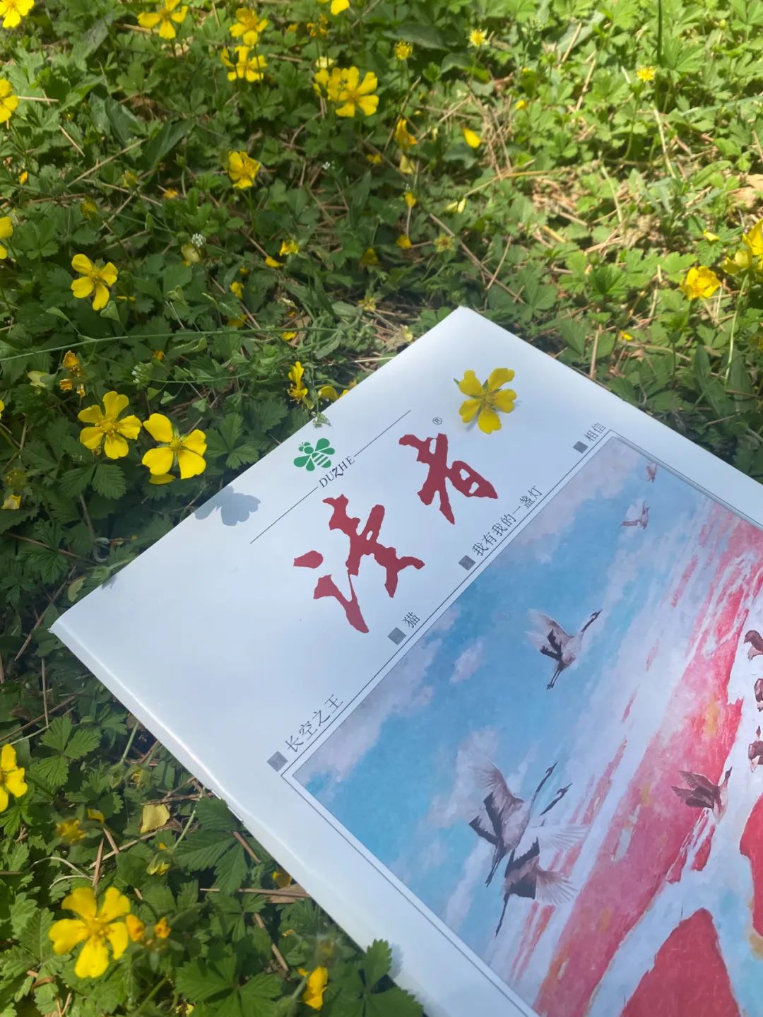 打造“次能力”后，人生立马顺了