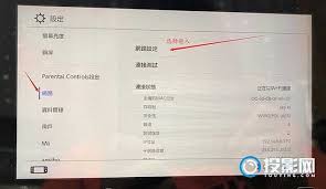 如何在Switch上更改DNS设置