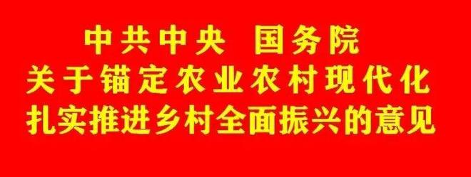 全文｜2026年中央一号文件