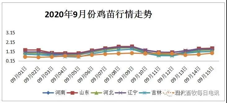 白羽肉鸡行情分析及预测（9.15）