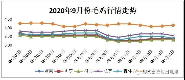 白羽肉鸡行情分析及预测（9.15）