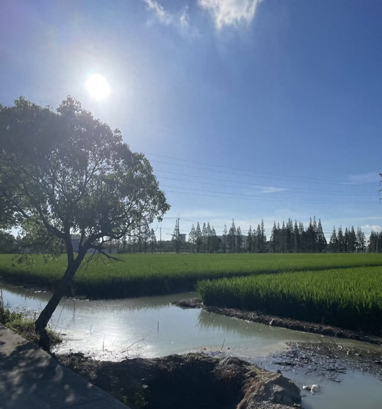 避开分红坑不必清仓！这几招稳妥应对，守住收益不踩雷