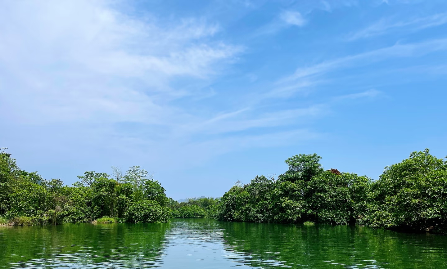 避开分红坑不必清仓！这几招稳妥应对，守住收益不踩雷