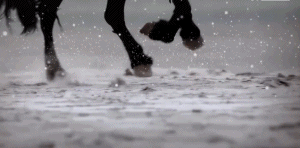 11台春晚收视大战辽宁完胜！天津凭德云社排第二，河南审美天花板