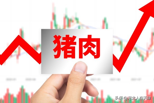 猪价“2个好消息”！猪价上涨“拦不住”？2月将涨？