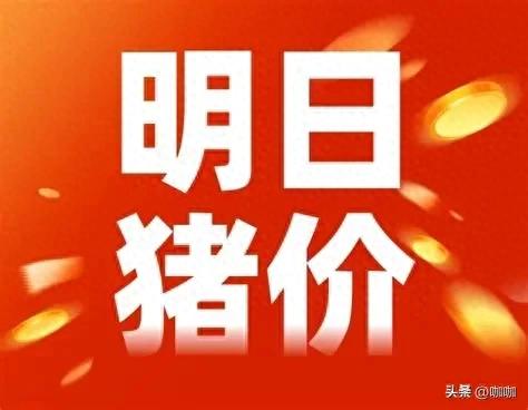 明日猪价开门红！2月1日止跌企稳，4省上涨，养殖户该出手吗？
