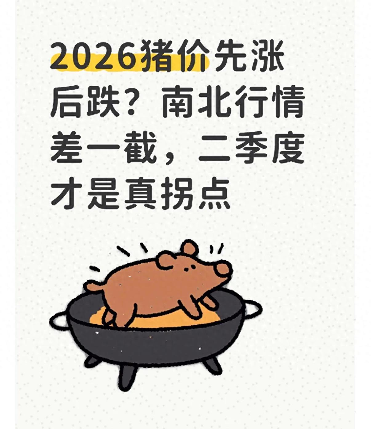 2026猪价先涨后跌？南北行情差一截，二季度才是真拐点