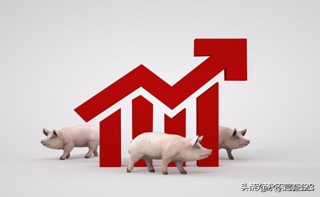 年关将至，猪价小回弹