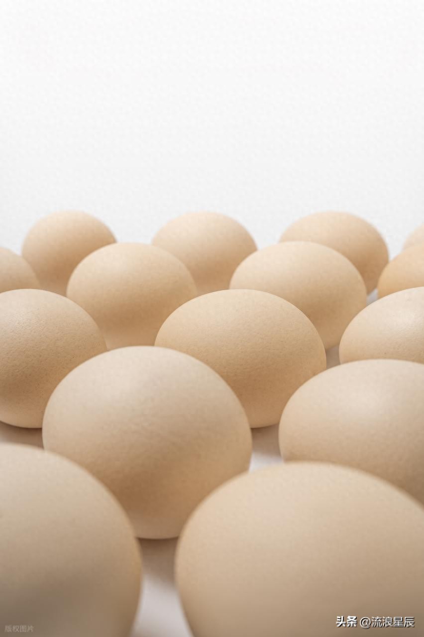 2026年1月26日鸡蛋价格行情参考