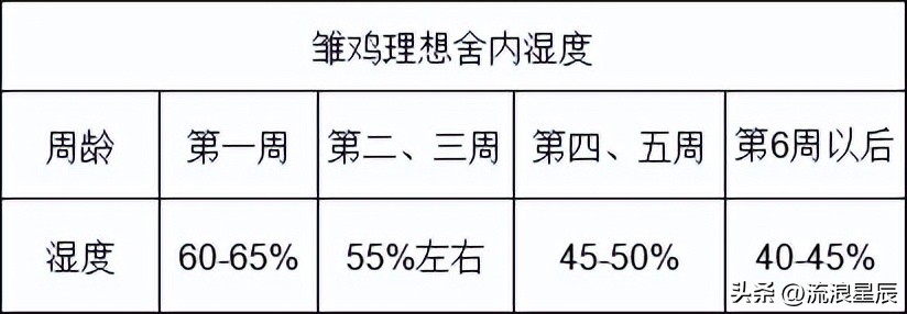 2026年1月26日鸡蛋价格行情参考