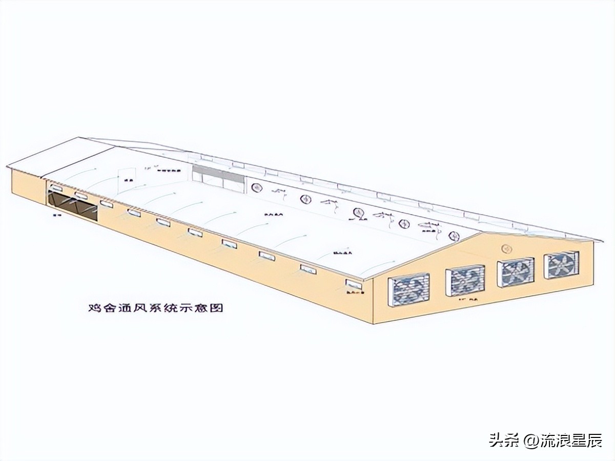 2026年1月26日鸡蛋价格行情参考