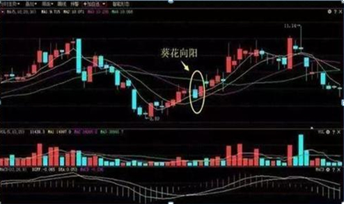 A股大佬终于讲透：主力资金砸盘到跌停才出货，究竟是什么目的？散户看完直呼“套路”