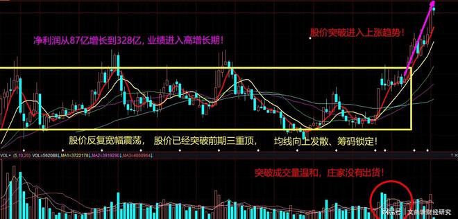 股市持续盈利的“秘诀”是什么？