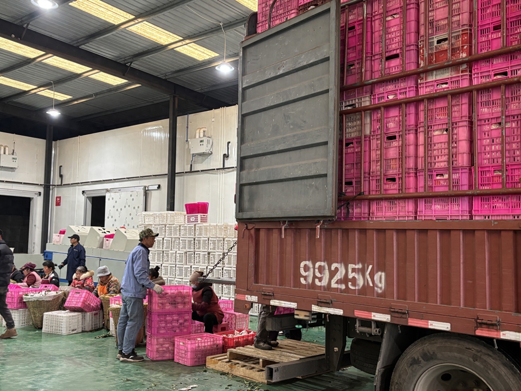 有机农业规模稳居西南第一，为何是西充？丨迎“南”而上③