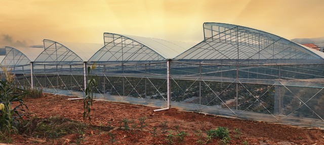 农业未来发展的趋势在哪里？