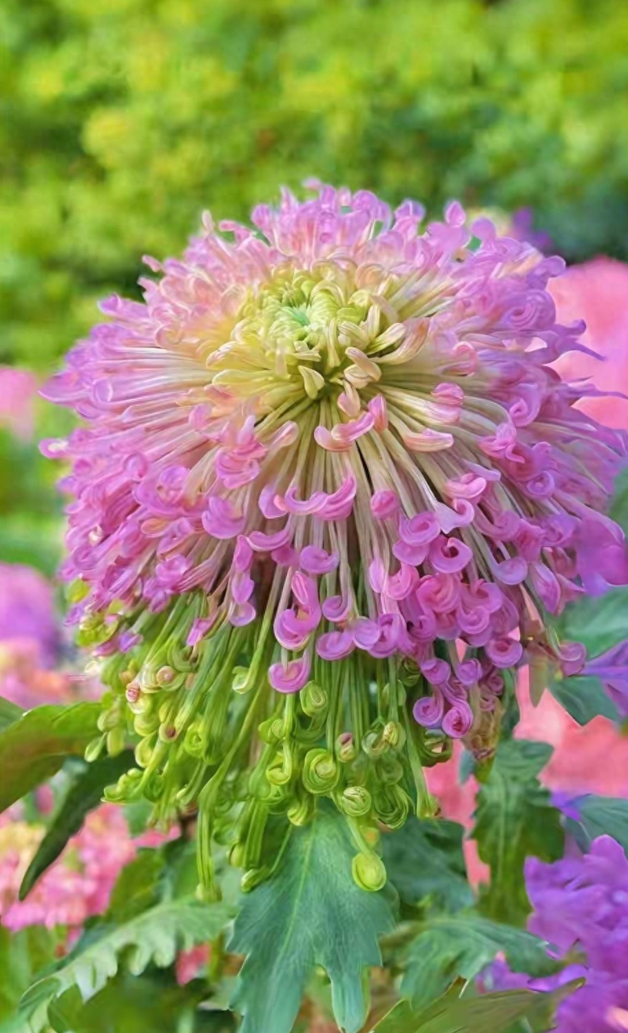 农业未来发展的前景方向