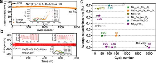 进展 | 聚合物固态钠电池研究取得重要进展