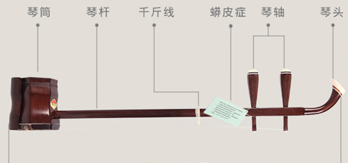入门二胡怎么选？二胡品牌哪个好？——二胡推荐选购指南