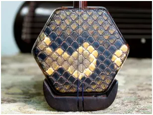 入门二胡怎么选？二胡品牌哪个好？——二胡推荐选购指南