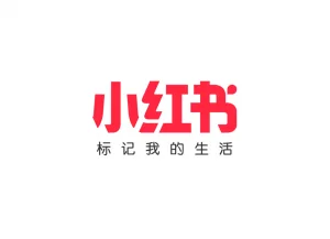 2025中国电商网站排名：盘点中国电商平台的TOP15