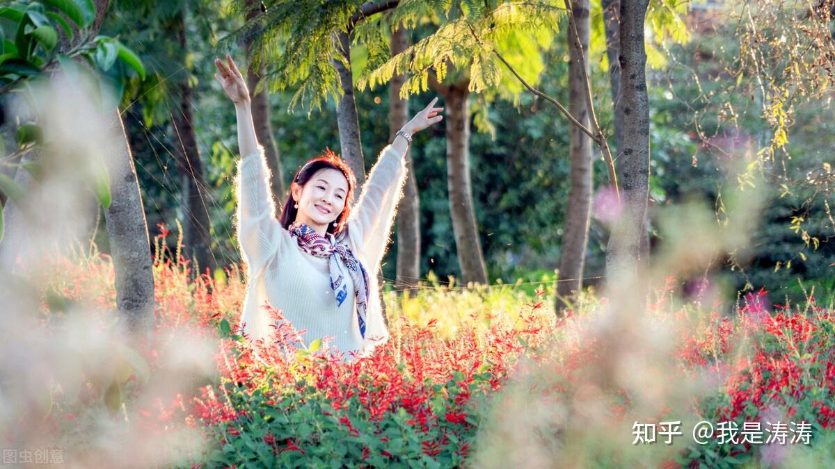 一张图看懂麦肯锡金字塔原理？