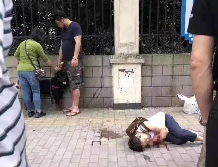 禁养烈性犬为何能办出证?！有人叫卖"一条龙服务"