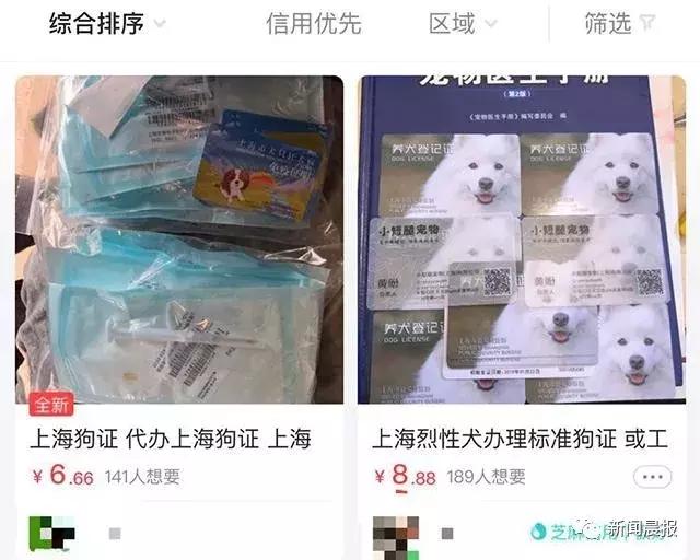 禁养烈性犬为何能办出证?！有人叫卖"一条龙服务"