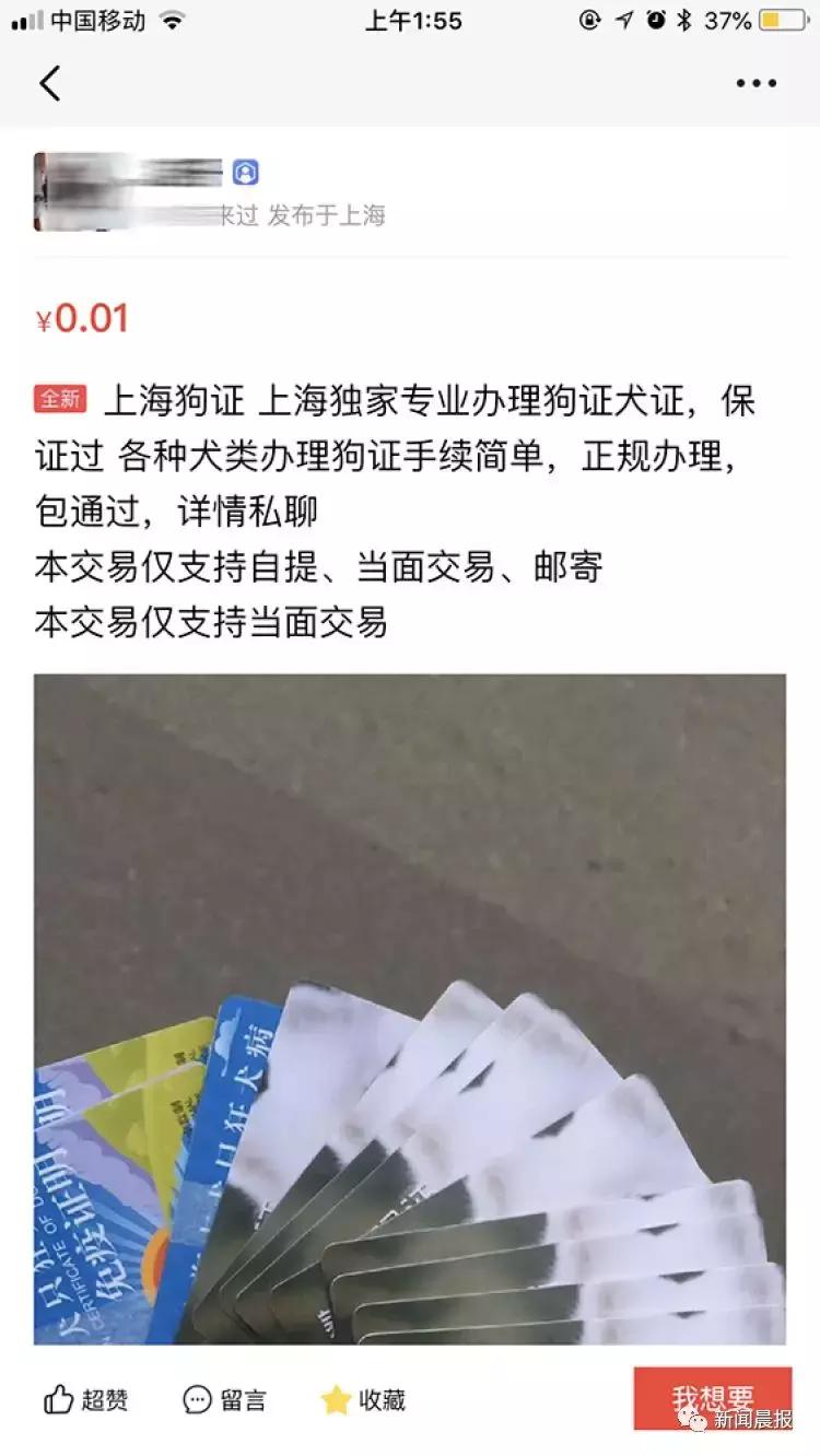 禁养烈性犬为何能办出证?！有人叫卖"一条龙服务"