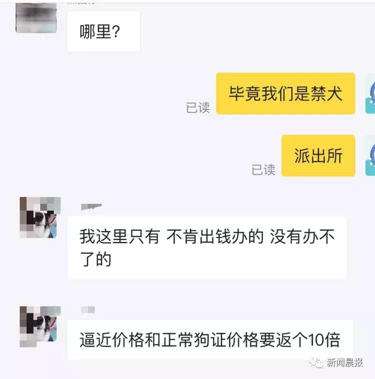 禁养烈性犬为何能办出证?！有人叫卖"一条龙服务"