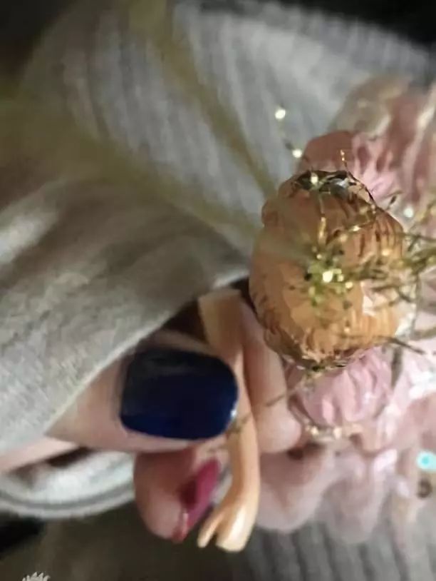 那个经常上热搜的崔雪莉走了，再也不会有人骂她关种