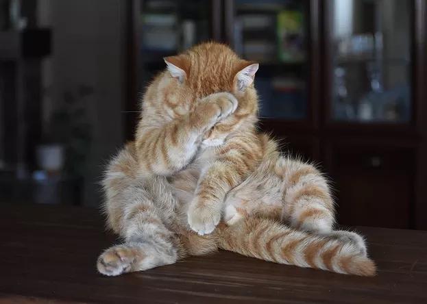 配资搜索量在近30天暴增了130%，中国人都想入场？这点风险警惕