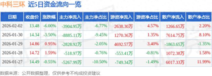 中科三环（000970）2月2日主力资金净卖出3904.95万元
